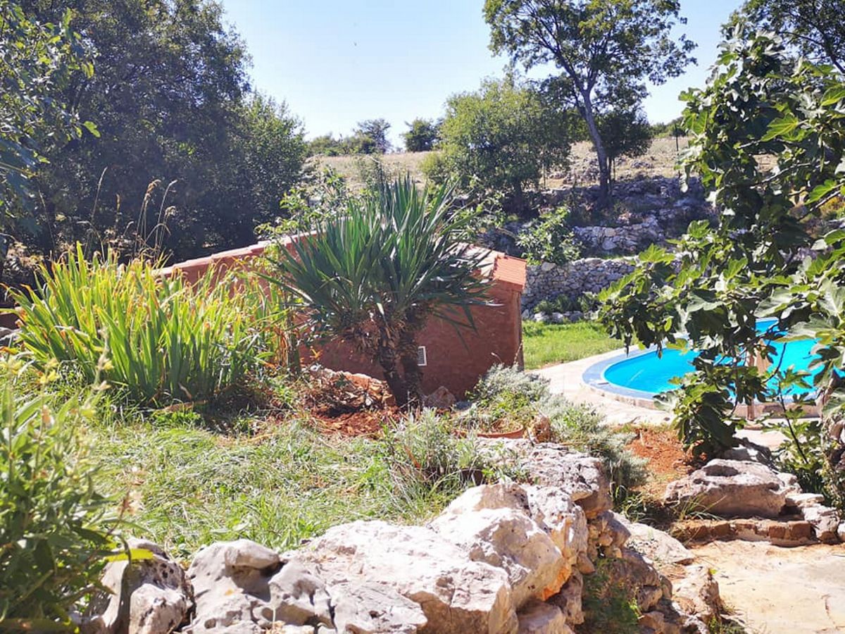 Do you want to relax and create? Atelier Filozići on Cres is your destination!