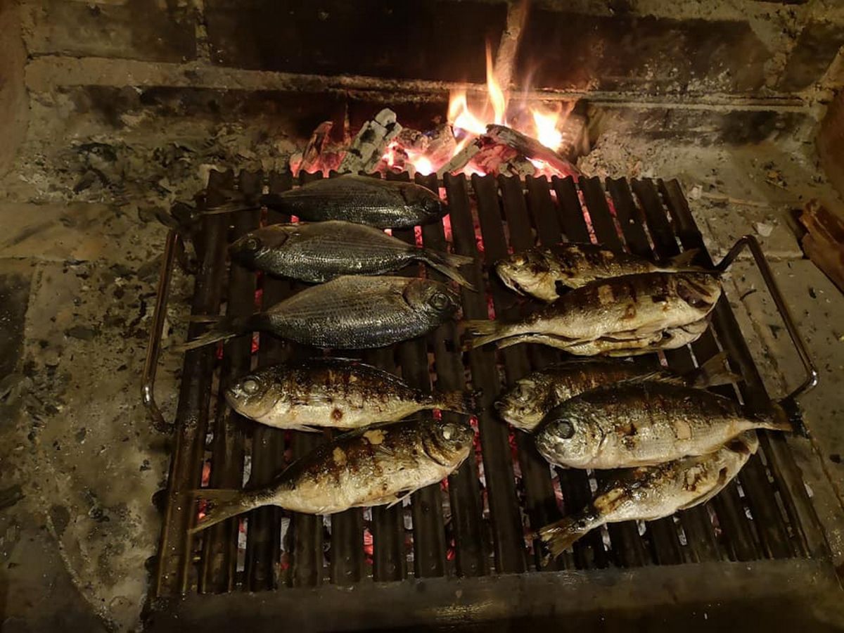 ArtFarm Filozići: How to Spend the Colder Days on the Island of Cres