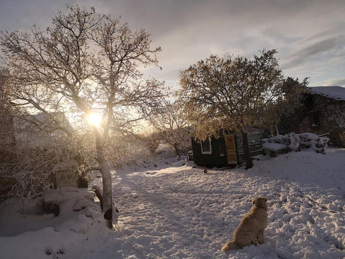 ArtFarm Filozići: How to Spend the Colder Days on the Island of Cres