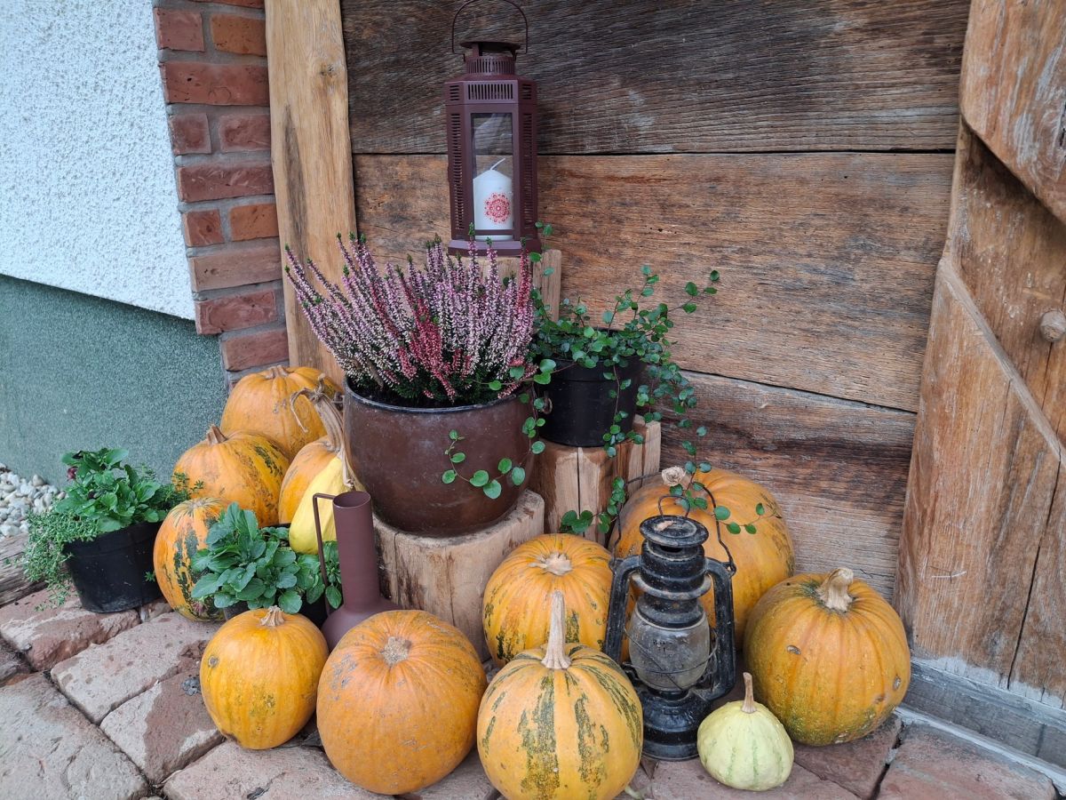 Rural Holiday Home Marija: Autumn in Podravina