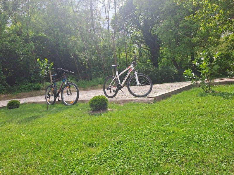 Rural Holiday Home Marija: The Perfect Destination for Anniversary Celebration