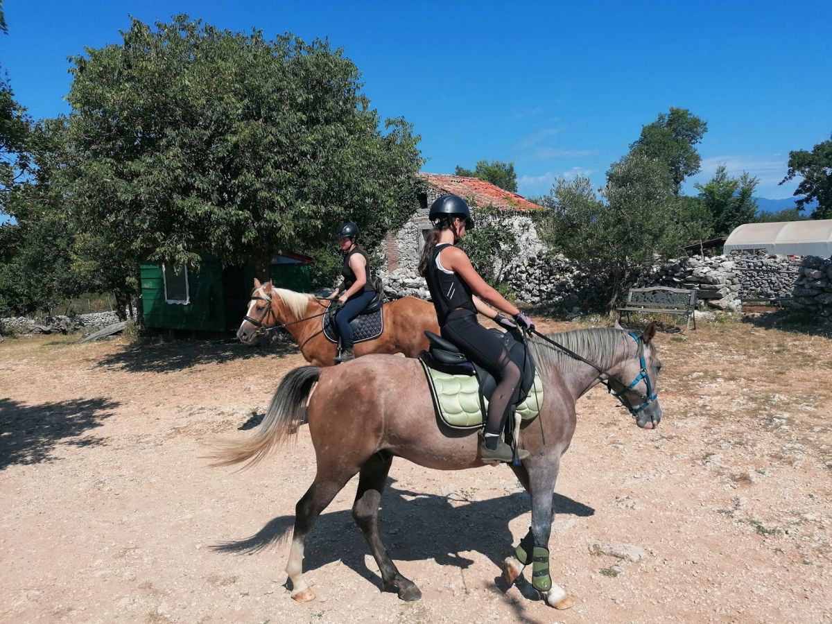 ArtFarm Filozići: Discover the Hidden Paradise on the Island of Cres