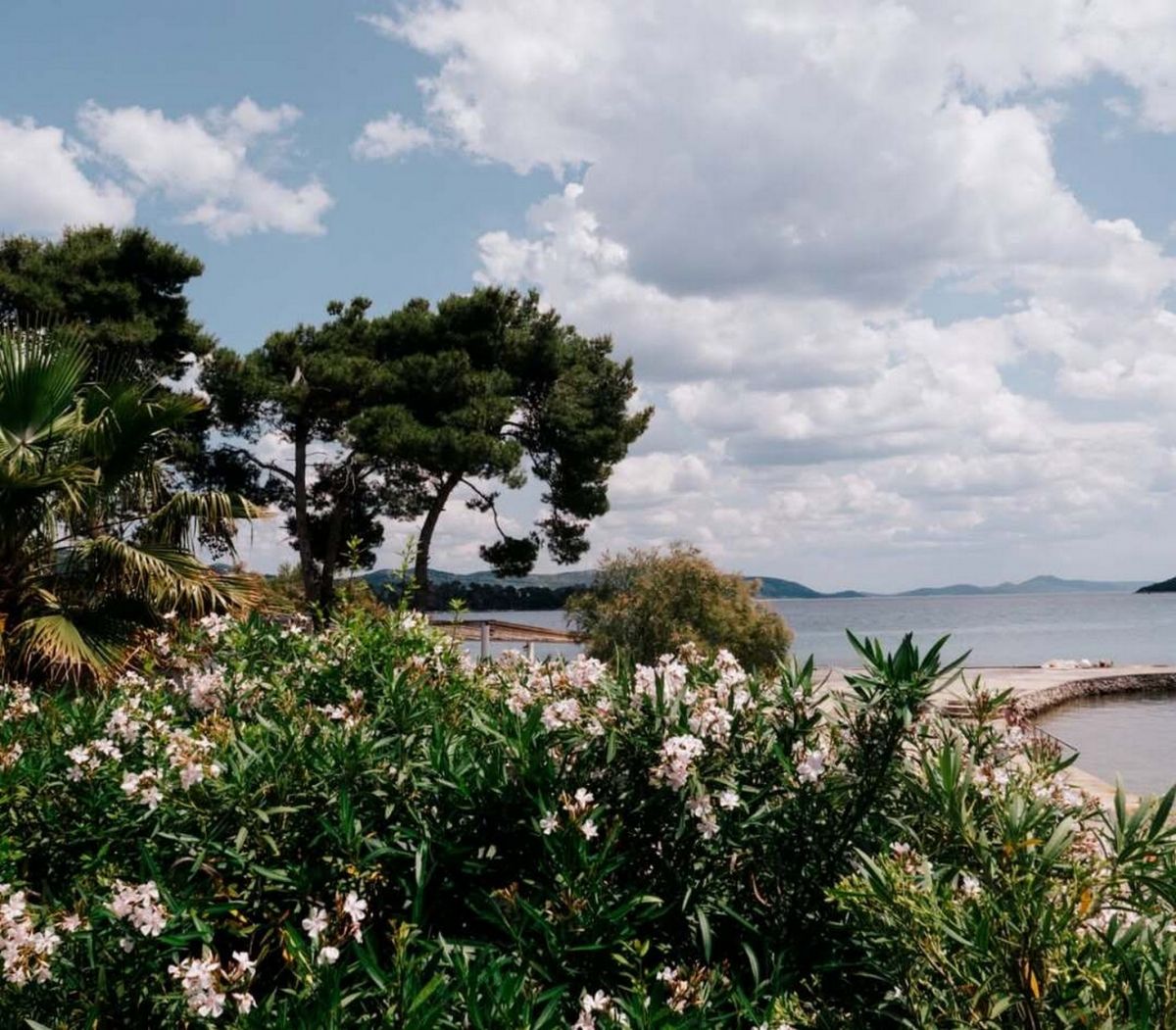 Why is Hotel Korinjak the Top Destination for Vegetarians and Vegans on the Adriatic?