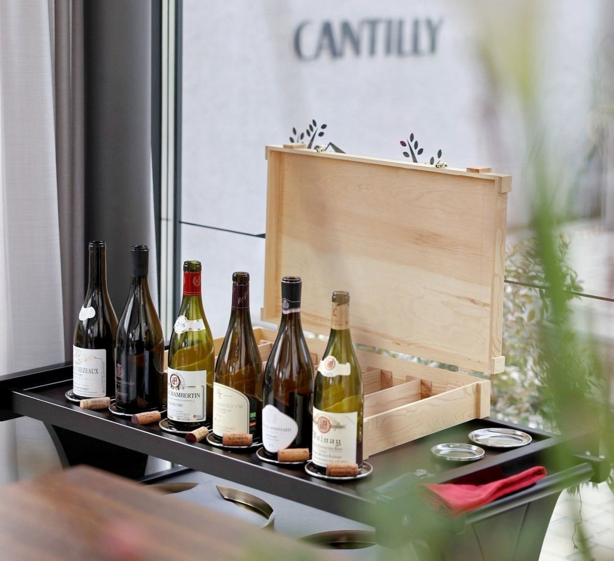 Cantilly: A Wine Experience in Samobor