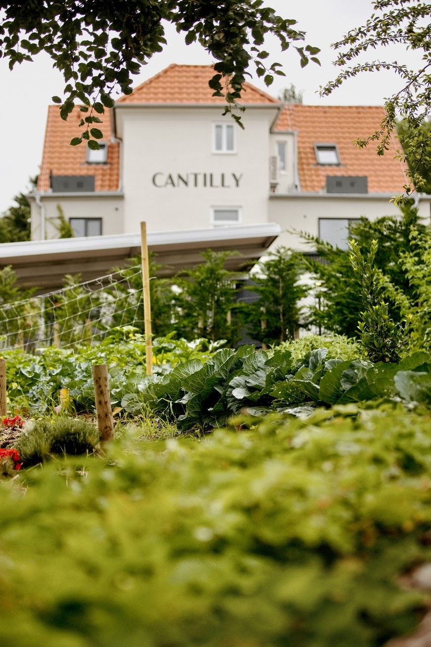 Cantilly: From Garden to Plate