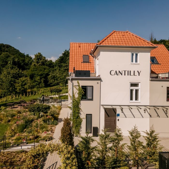 Cantilly: How Silence and Authentic Rest Restore Peace to the Modern Soul