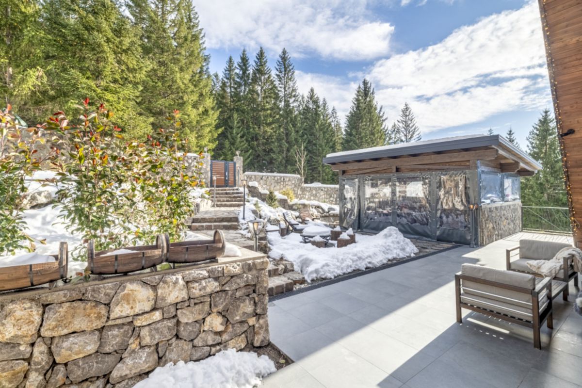 Forest Hill: Where the Forest Becomes Home