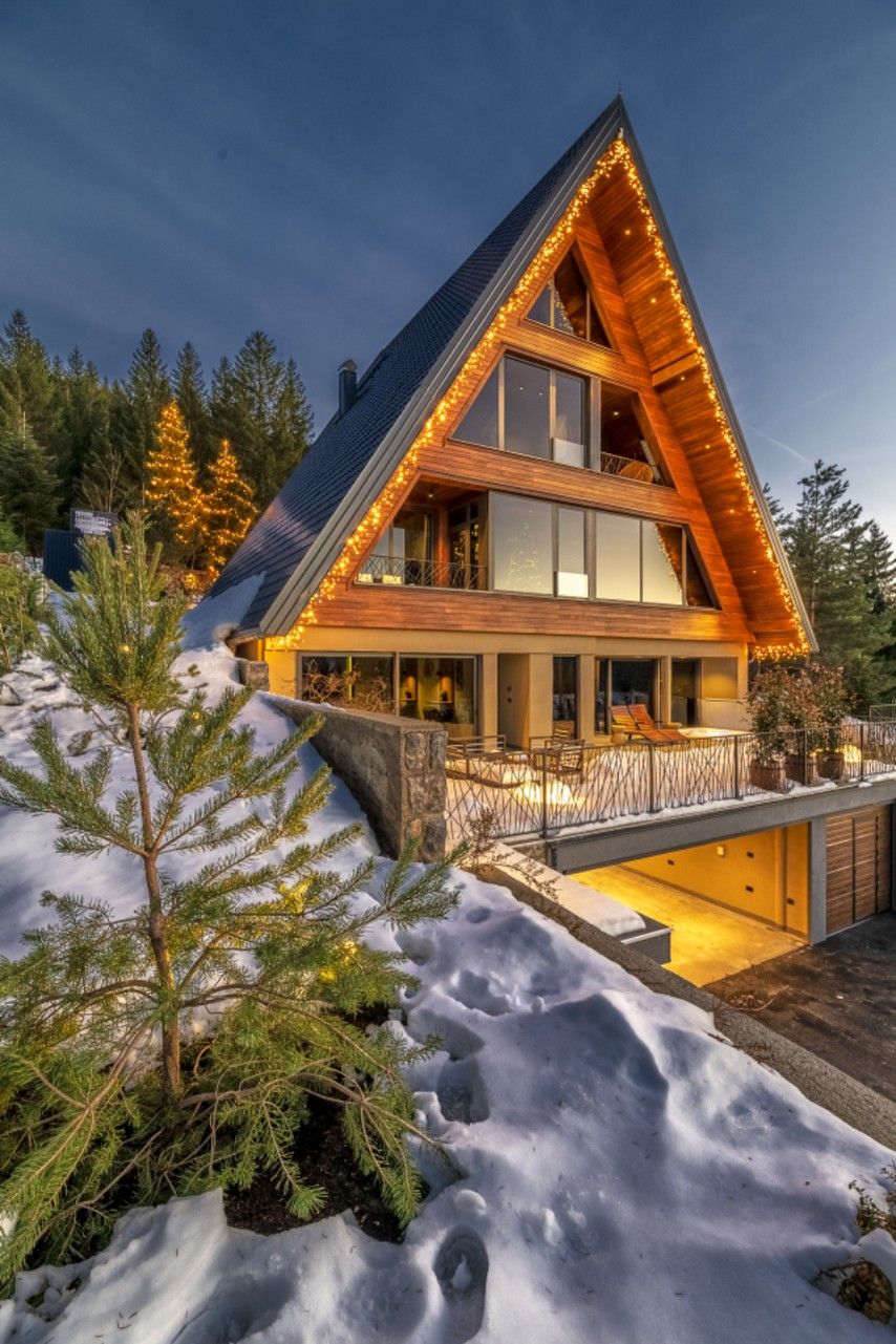 Forest Hill: Where the Forest Becomes Home