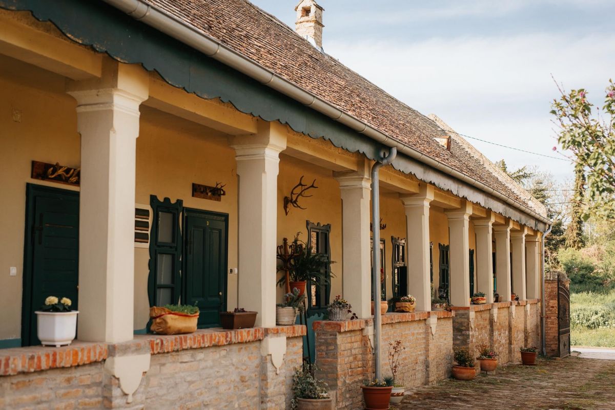 Kuća Biljkinog oca: Past that Lives, Future that Amazes