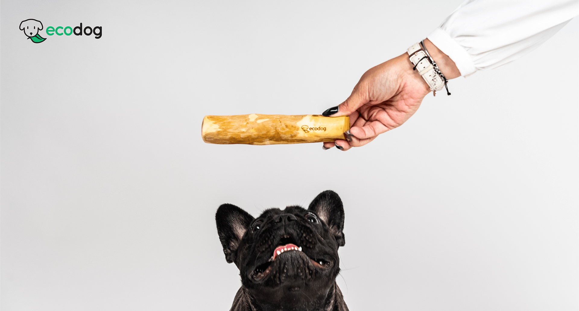Eeco pet-friendly pristup